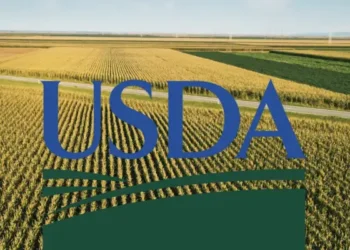 Tunisie : Washington débloque jusqu'à 35 millions de dollars pour la filière de la datte
