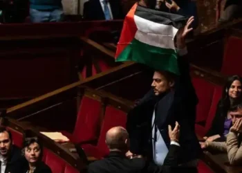 France : Un député exclu de l'Assemblée pour avoir brandi un drapeau palestinien