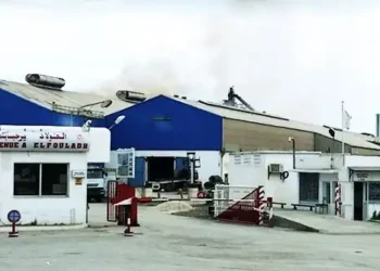 El Fouladh : Sept mandats de dépôt pour vol et vandalisme