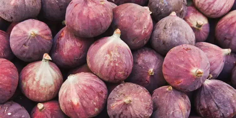 Flambée des prix : Faudrait-il importer des figues d'Égypte ?