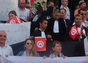 Les avocats en grève dans les tribunaux de Tunis