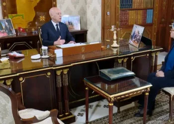 Kais Saied parle du Décret 54 : "La liberté d’expression est garantie par la Constitution"