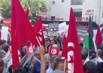 Tunisie : manifestation pour des élections équitables et la libération de journalistes et d'opposants