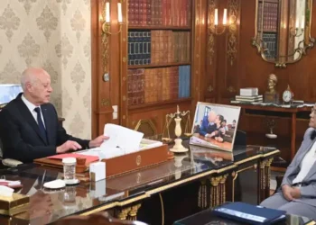 Kais Saied dénonce "l'ingérence" des financements étrangers aux associations tunisiennes