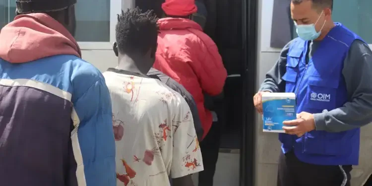 Retour volontaire de 161 migrants subsahariens de Tunisie vers la Gambie
