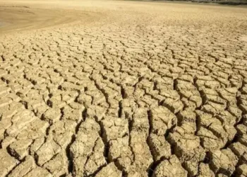 La Tunisie au 18e rang mondial en termes de sécheresse