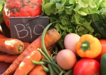 Exportations biologiques tunisiennes : Une augmentation de 22,4% en un an