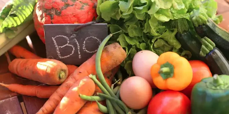 Exportations biologiques tunisiennes : Une augmentation de 22,4% en un an