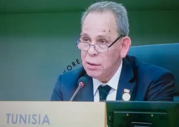 Sommet Corée-Afrique : Allocution et série de réunions pour Ahmed Hachani à Séoul
