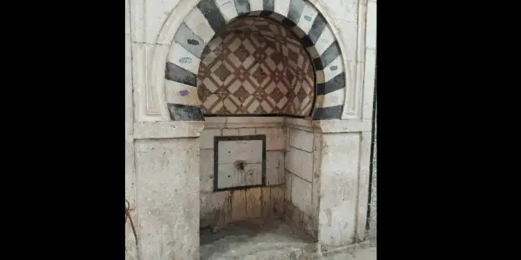 Snapshot : Ce patrimoine délaissé de la mosquée Zitouna