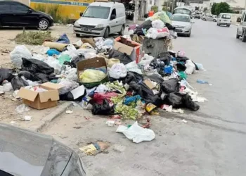 Municipalité de Tunis : Programme spécial de ramassage des déchets pour l'Aïd al-Adha