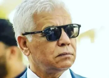 Tunisie : Safi Said condamné à quatre mois de prison par contumace