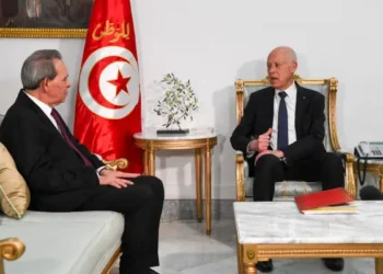 Kais Saied : « Certaines campagnes électorales se transforment en actes criminels »
