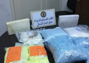 Toxicomanie : vers une approche médicale plutôt que pénale en Tunisie