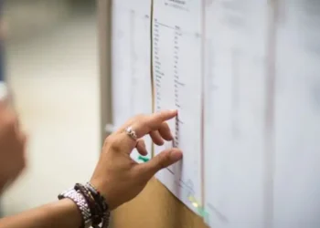 Tunisie - Bac 2024 : Taux de réussite global de 55,60%