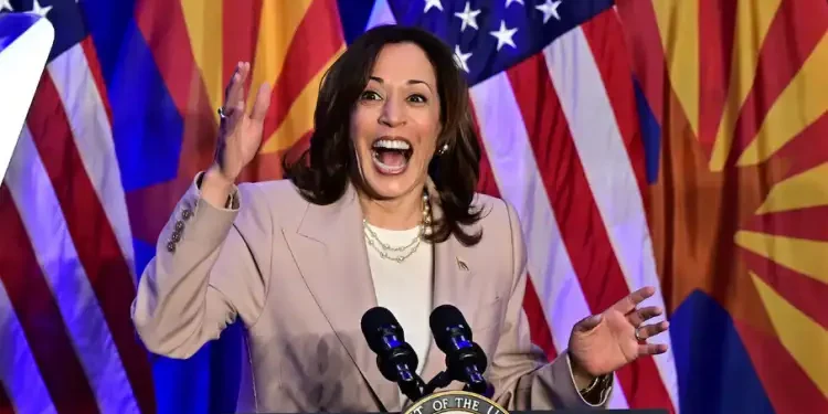 Présidentielle US : Quand Kamala met son harissa  dans la campagne