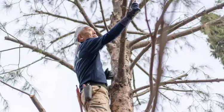 Avec Yoshimi Kitaura, paysagiste du Jardin Japonais de Tunis