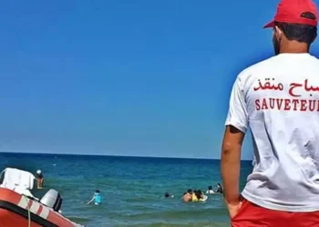 Tunisie - Protection civile : 12 décès en 24 heures