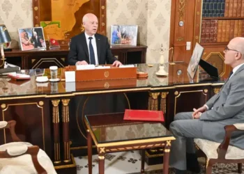 Tunisie : Kaïs Saïed reçoit Nabil Ammar