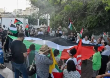 Soutien à la Palestine : Manifestation devant l’ambassade de France à Tunis