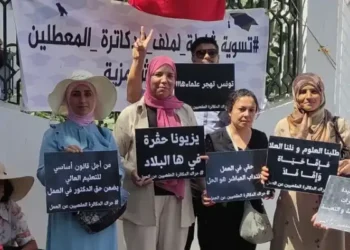 Les doctorants au chômage lancent un appel à Kais Saied