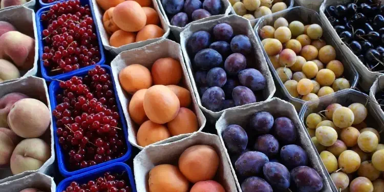 Tunisie : Les exportations de fruits en régression de 22,1%