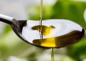 Tunisie : 4,3 milliards de dinars de revenus pour l’huile d’olive en 2023-2024