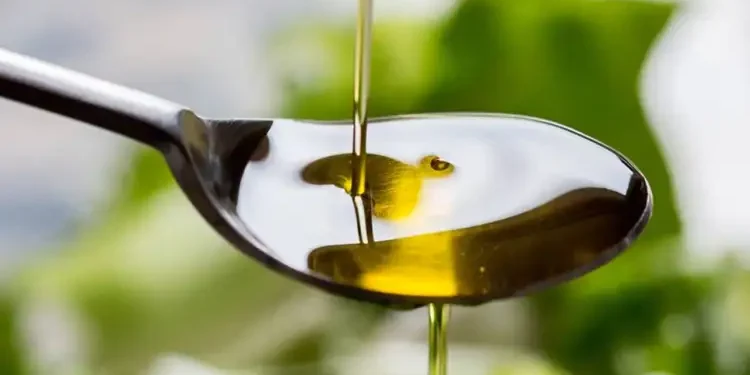 Tunisie : 4,3 milliards de dinars de revenus pour l’huile d’olive en 2023-2024