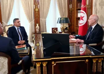 Le président Saied s'attaque aux coupures d'eau et d'électricité