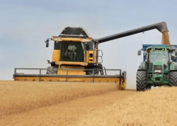Céréales 2023/2024 : Une récolte meilleure que l'année précédente