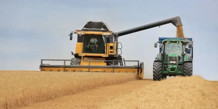 Céréales 2023/2024 : Une récolte meilleure que l'année précédente
