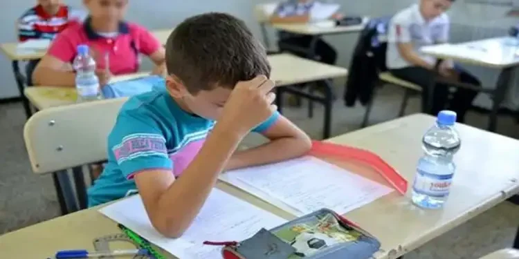 Tunisie : 39,67% de réussite au concours de la sixième