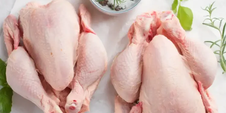 Tunisie : Pénurie de viande de poulet ?  Les chiffres confirment une offre suffisante