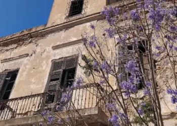 À la Goulette, dans les rues de la Petite Sicile 