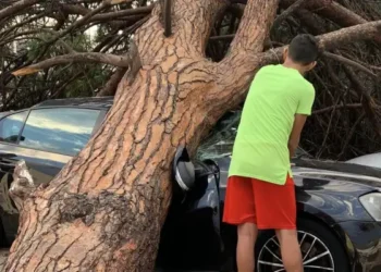 Inondations à Nabeul et Hammamet : Des blessés et des dégâts matériels