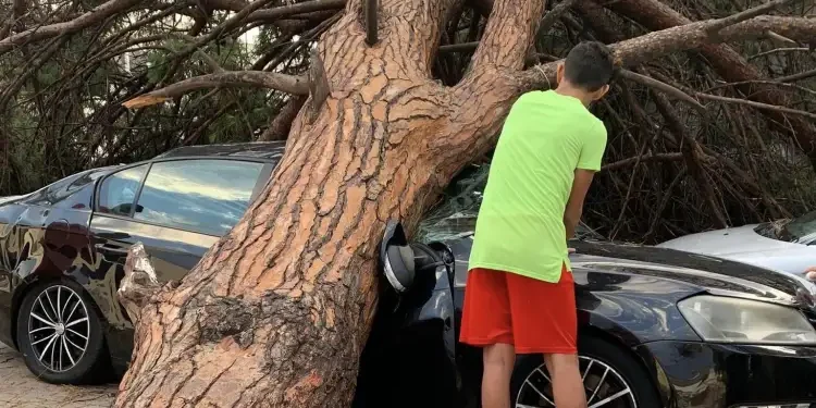 Inondations à Nabeul et Hammamet : Des blessés et des dégâts matériels