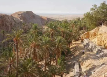 La plus belle oasis du monde antique se trouvait à Gabès !