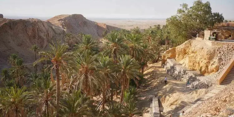 La plus belle oasis du monde antique se trouvait à Gabès !