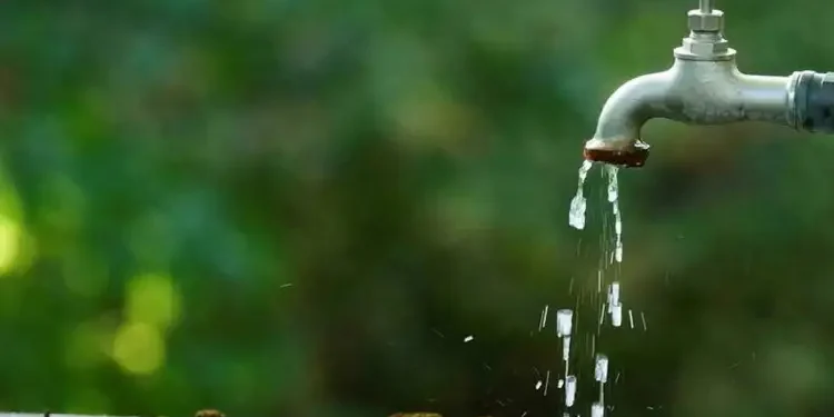 L'Observatoire tunisien de l'eau tire la sonnette d'alarme sur la pénurie d'eau
