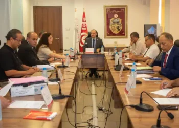 Tunisie - Présidentielle : Ultimatum fixé aux candidatures incomplètes 