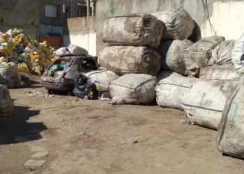 Snapshot : Quelles solutions pour le plastique ?