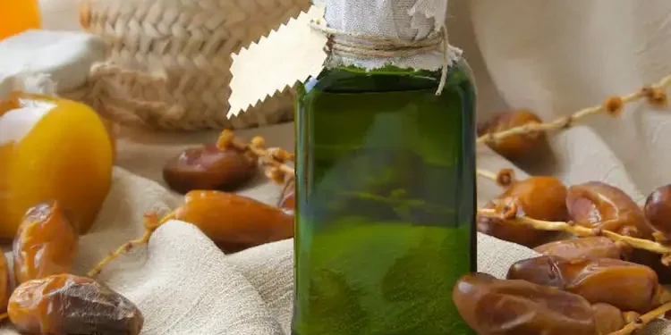 Bio tunisien : quand moins devient plus sur les marchés internationaux