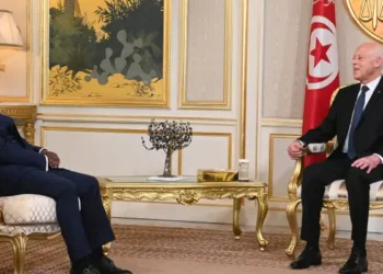 Kaïs Saïed : "La Tunisie ne tolérera pas les personnes en situation irrégulière sur son territoire"