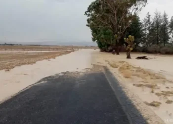 Tunisie : Innondation dans le nord-ouest du pays