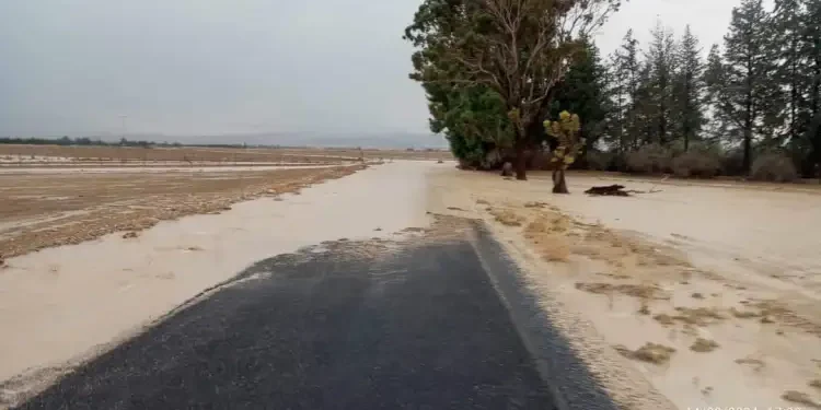 Tunisie : Innondation dans le nord-ouest du pays
