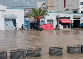 Tunisie : Précipitations, 102 mm à Bchechma, 80 mm à Chebba