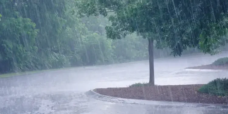 Les quantités de pluie enregistrées en Tunisie en 24 heures