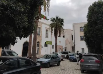 Mémoire : Pour une place Jelila Hafsia dans la médina de Tunis