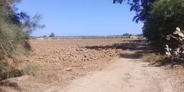 Tunisie : Récupération de trois terrains domaniaux agricoles à Mahdia et Tozeur