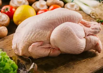 Œufs-orie nationale : La Tunisie mise tout sur le poussin